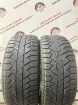 Bridgestone Ice Cruiser 7000 R17 225/55