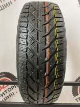 Tigar ICE R19 225/55