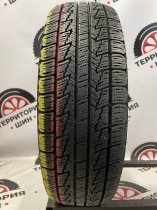 Nexen Winguard Ice R14 175/65