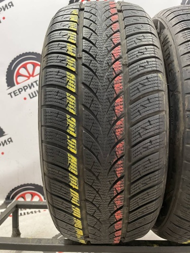 Triangle WinterX TW401 R17 215/55