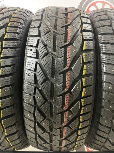 Tigar Ice R17 225/55