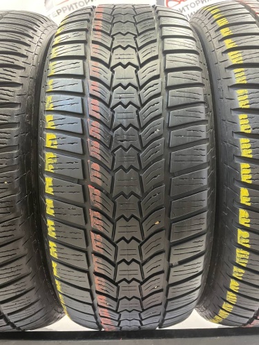 Sava Eskimo HP2 195/55 R15