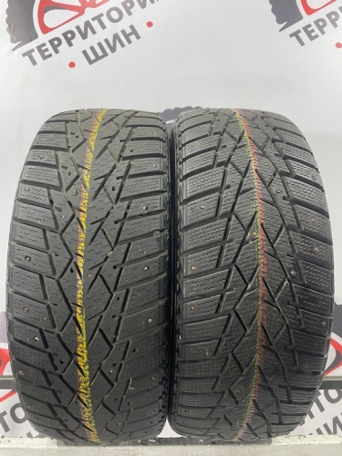 Doublestar Winter King DW01 R16 205/55