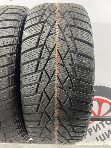 Doublestar Winter King DW01 R16 205/55