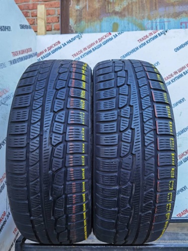 Nokian Tyres WR R17 225/60