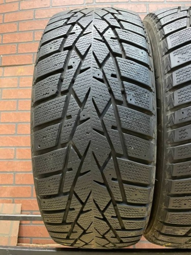 Doublestar DW01  R16   205/60