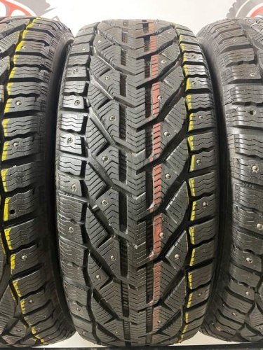 Tigar Ice R17 225/55