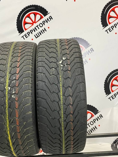 Nexen WinGuard R17 215/55
