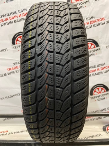 Kama Nikola R15 195/65