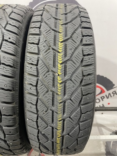 Tigar Ice R19 225/55