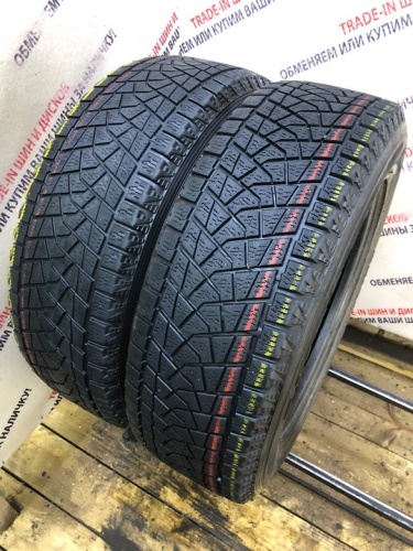 Bridgestone Blizzak DM-3 R17 225/65