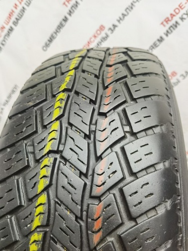 Nexen Roadian AT 4x4 245/65