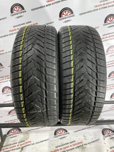 Vredestein Wintrac Xtreme S 225/50 R17