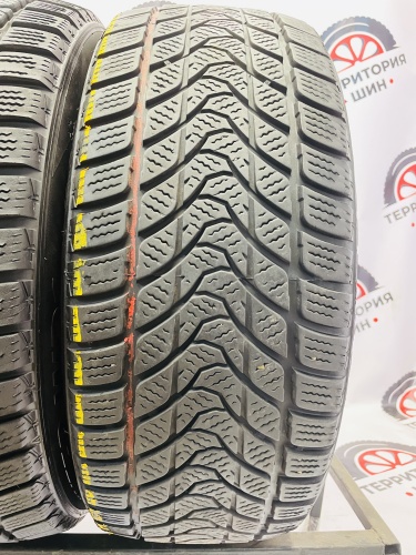 Delinte Winter WD1 R16 205/55