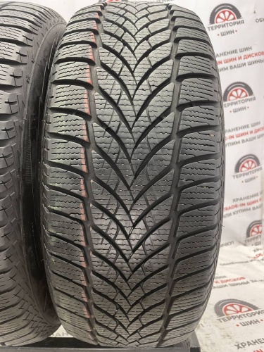 Goodyear Ultragrip Ice 2 R 16 205/55