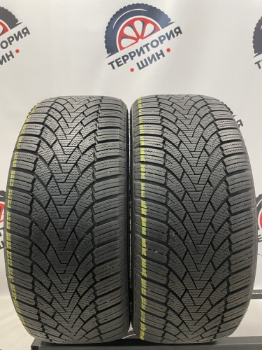 Sonix WinterXPro 888 R17 225/45