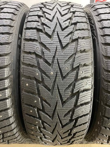 Nexen WS62 R19 235/55