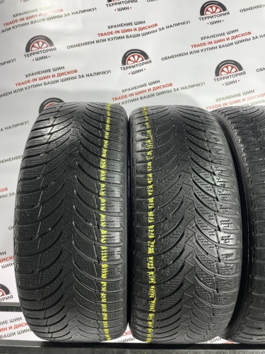 Nexen WinGuard Snow G WH2 205/55 R16