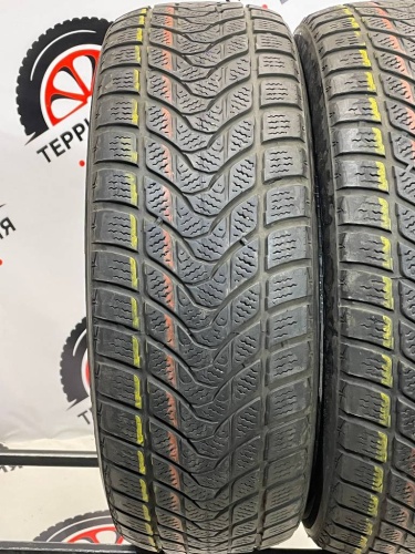 Delinte Winter WD1 R16 215/65