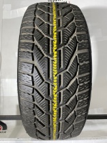 Tigar Winter R18 225/45